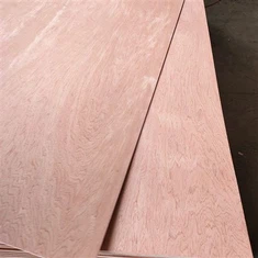 Bintangor Plywood Bieb Bord